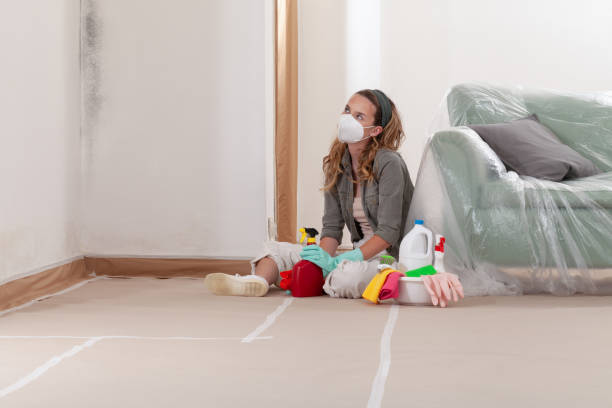 Reliable Black Mold Remediation contractor in The Colony, TX by Mold Remediation HQ